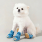🐶👟Hengittävästä neuloksesta valmistetut, luistamattomat kengät koirille