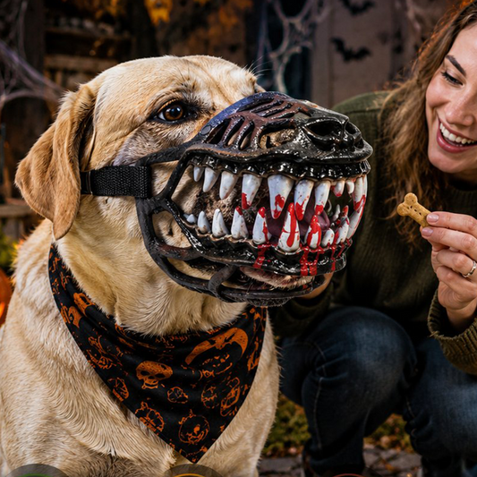 🎃 Tänään -50 %! 🐶 Halloween-koiran suukappale, jossa on kammottavat vampyyrin hampaat
