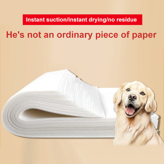 Koiran virtsaa imevä paperi